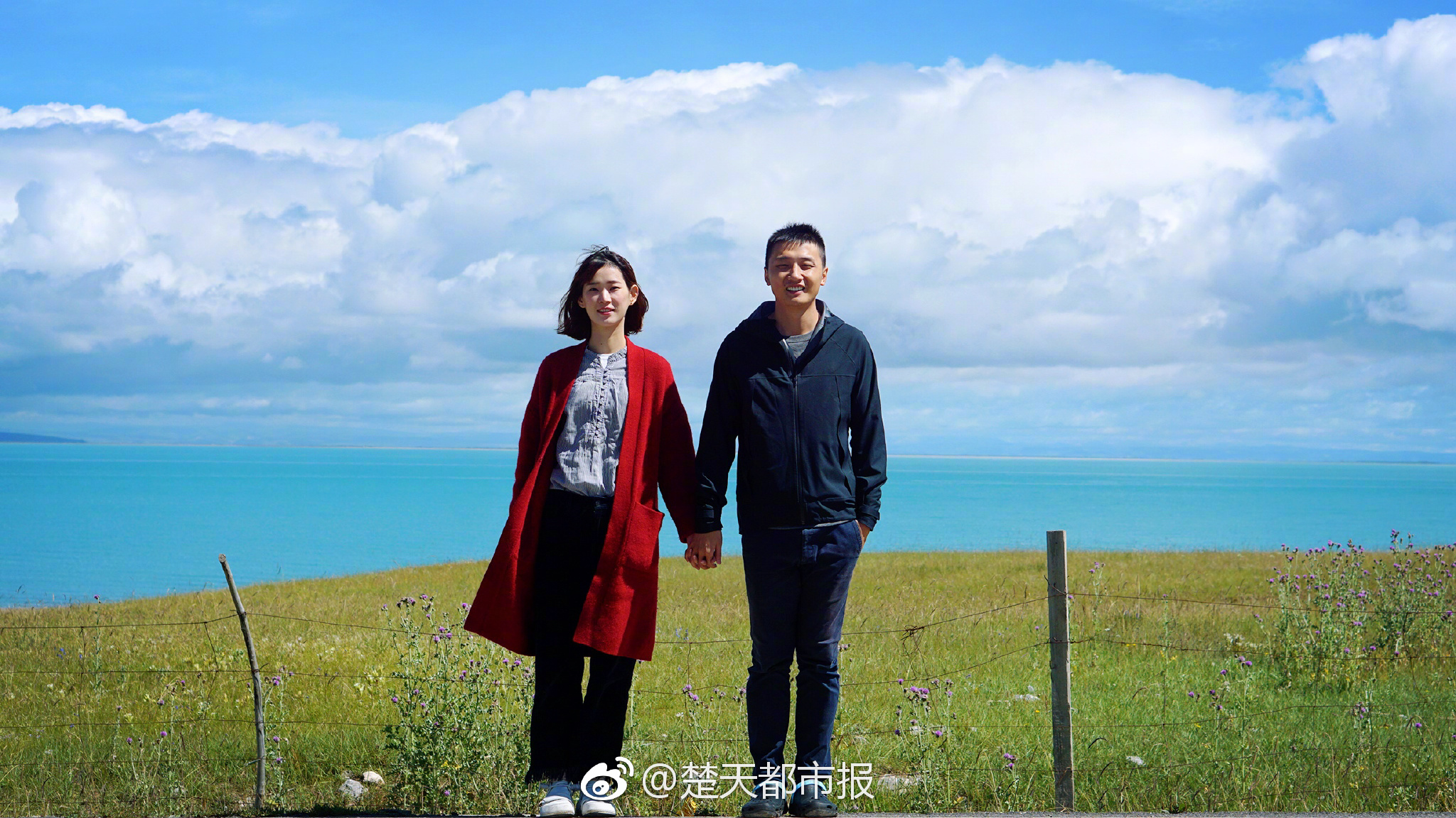 拆迁埃琳娜的复仇任务怎么做