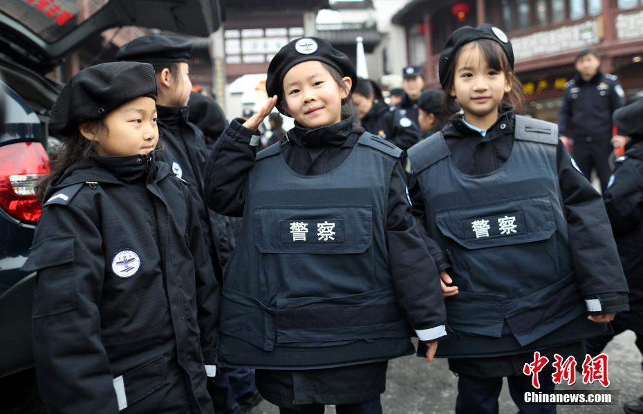 宝可梦朱紫古代种抓取位置在哪
