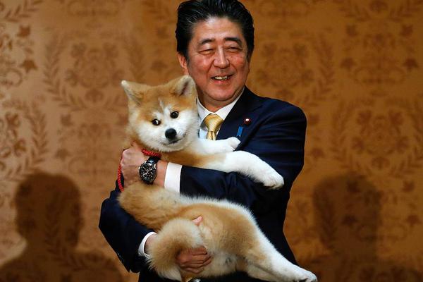 月风魔传不朽之月龙骨鬼怎么打比较简单