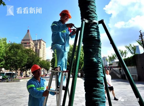 侠之道木人心线怎么进入